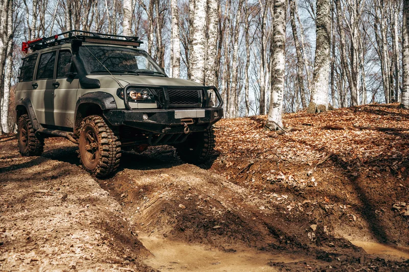 Geländewagen in einem Wald von vorn