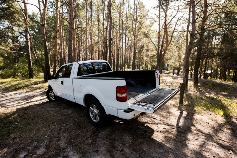 Pickup in einem Wald von hinten